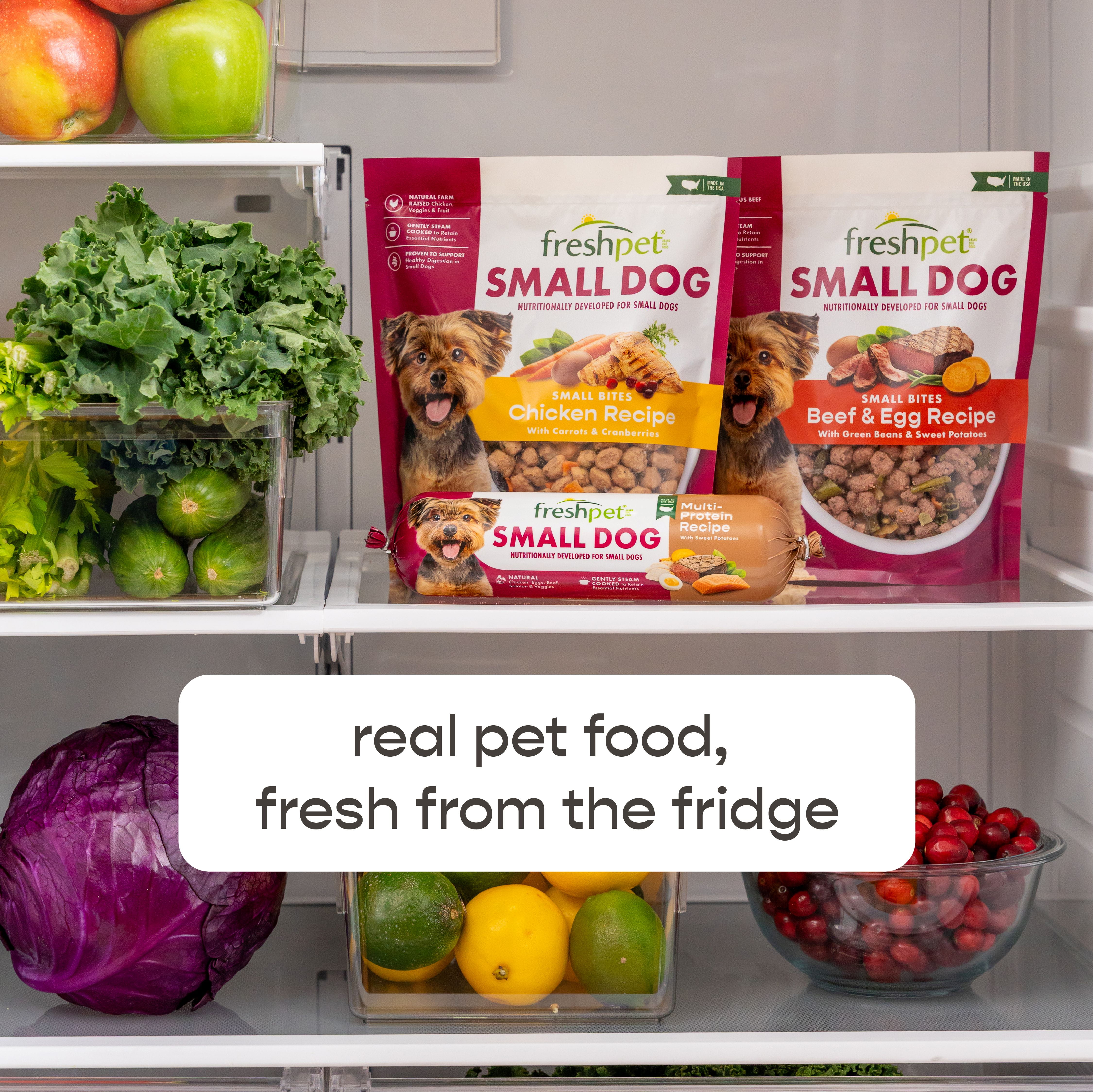 (6 pack) Freshpet Fresh Dog Food, Small Dog Chicken & Turkey Recipe, Slice & Serve Roll, 1 lb.