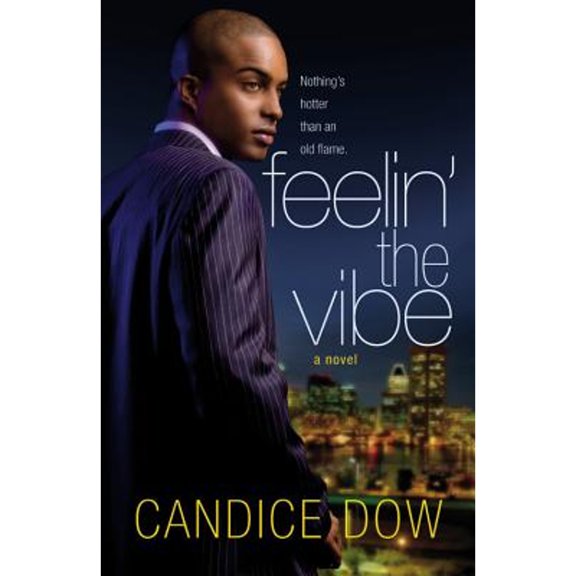 Pre-Owned Feelin' the Vibe (Paperback) 0446179523 9780446179522