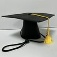 thumbnail image 5 of 2025 Pet Graduation Cap â Adjustable Black Doctoral Hat with Tassel for Small & Medium Dogs/Cats, Photo Prop & Party (Polyester), 5 of 7