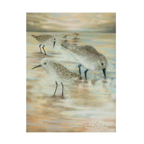 Cherie Roe Dirksen 'Sandpipers' Canvas Art