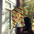 thumbnail image 2 of Carolines Treasures LH9226-FLAG-PARENT Silky Terrier Candy Cane Holiday Christmas  Flag  multicolor, 2 of 2