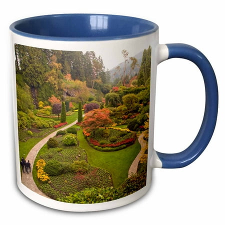 

3dRose The Sunken Garden Butchart Gardens Victoria BC-CN02 SWS0014 - Stuart Westmorland - Two Tone Blue Mug 11-ounce