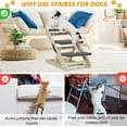 thumbnail image 4 of Kinbor Dog Ramp Folding Pet Stairs, Portable 2-in-1 Pet Stair with Carry Handle, Non-Slip Carpet 3-Step Puppy Ladder for Dogs & Cats, 4 of 9
