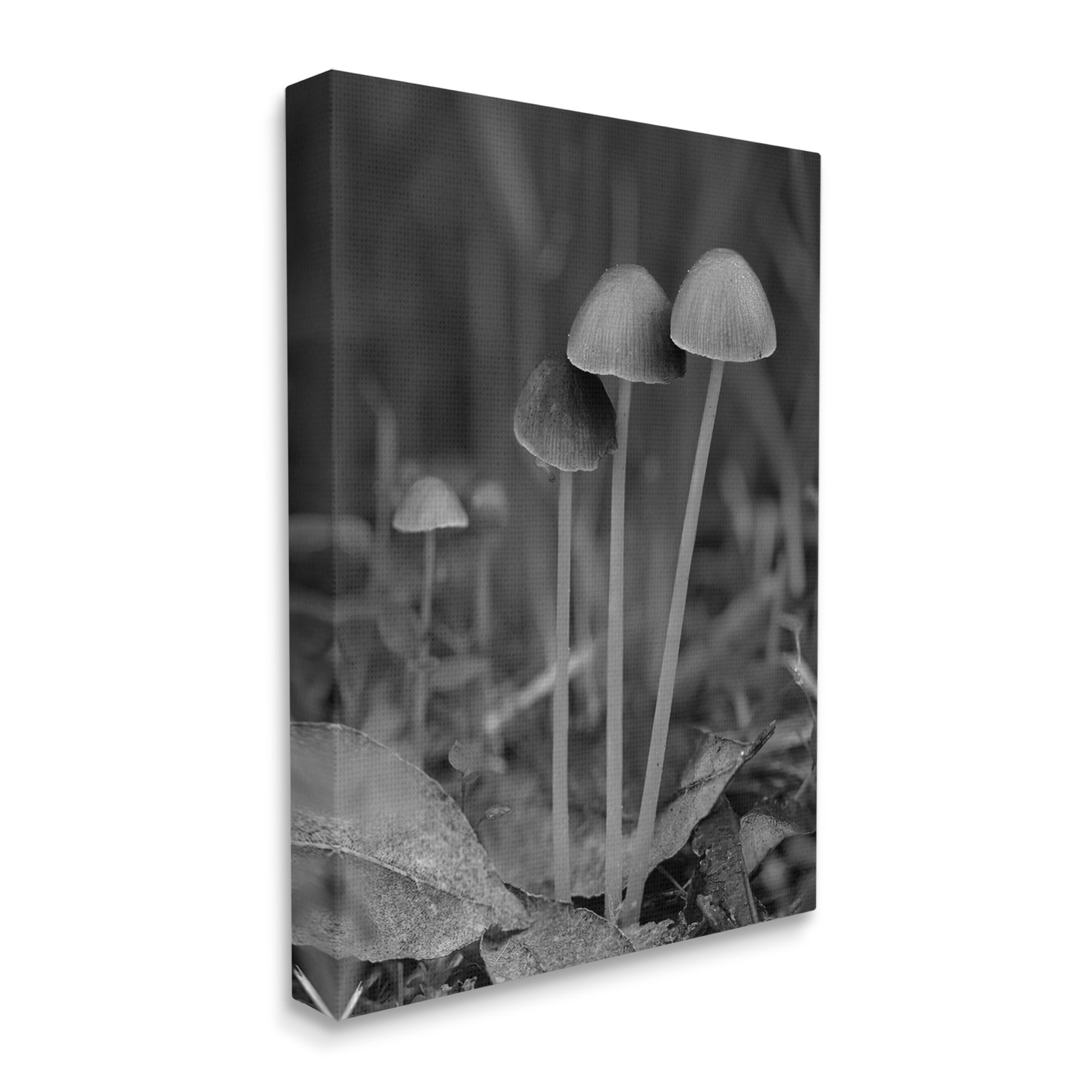 Stupell Industries Forest Mushroom Photography Botanical & Floral Photography Gallery Wrapped Canvas Art Print Wall Art, 16 x 20
