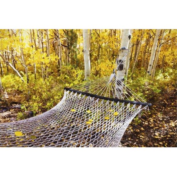 Posterazzi DPI12286488LARGE Classic Hammock Invites Visitors To Relax Among Aspen Trees in Bright Autumn Colors Near Bishop - California United Sta 3 Poster Print by Marion Owen, 38 x 24 - Large