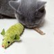 thumbnail image 4 of Gato Juguete 2024 Nueva Gato Juguetes Gato Masticar Juguetes Silvervine Gato Ratones Juguetes Juguetes interactivos para gatos de interior aburrido, 4 of 5