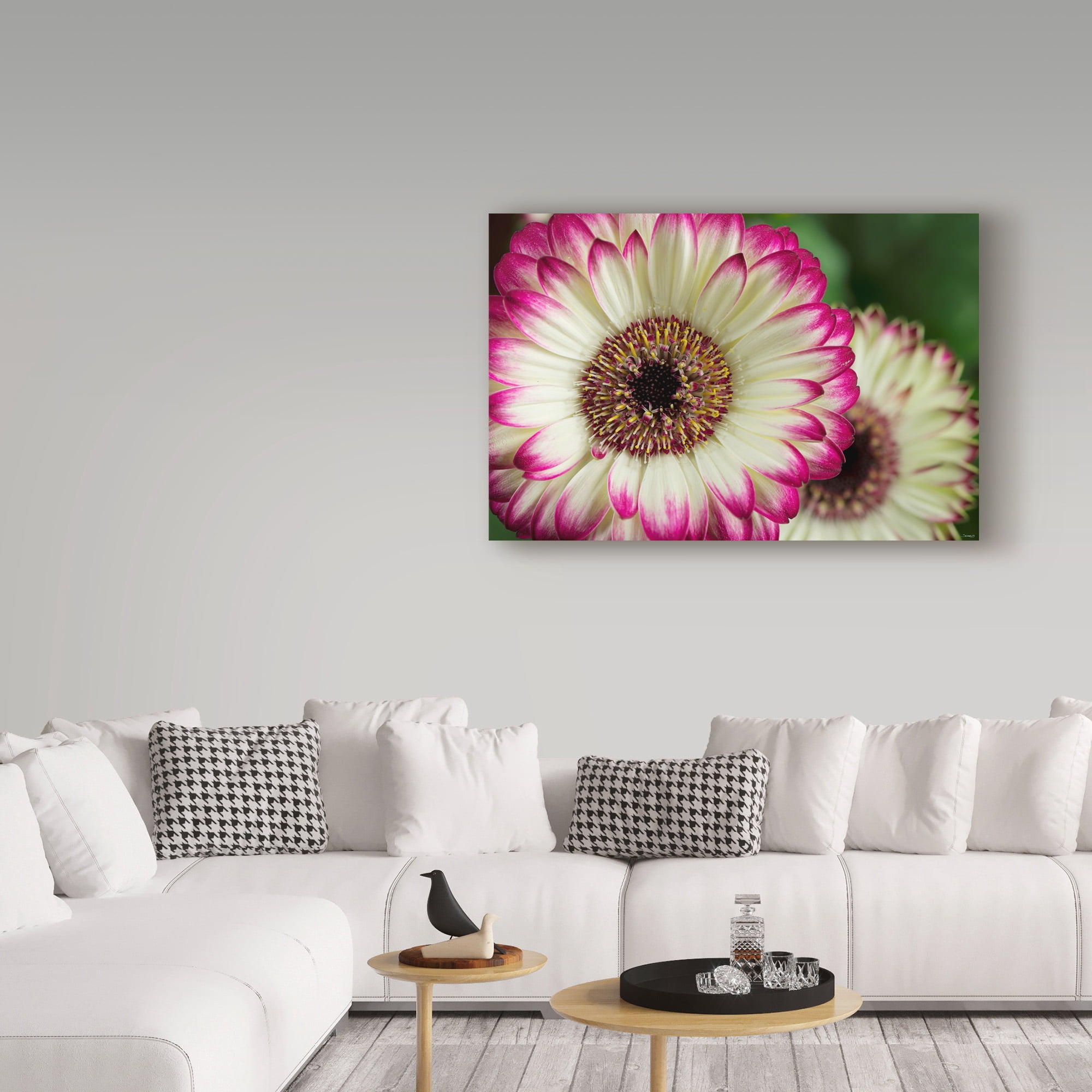 Trademark Fine Art 'Pink And White' Canvas Art by Gordon Semmens