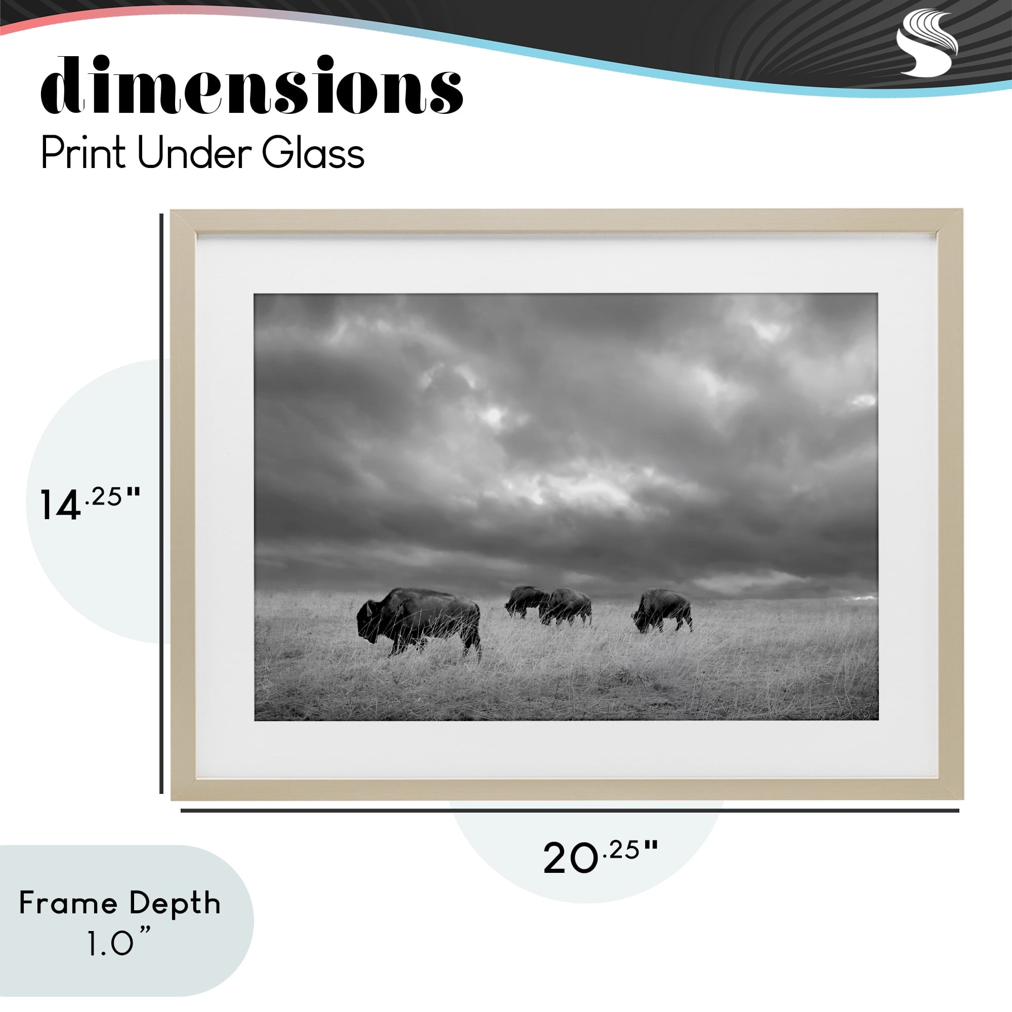 Stupell Industries Bisons Under an Autumn Sky Birch Framed Print Under Glass, design by Steve Toole