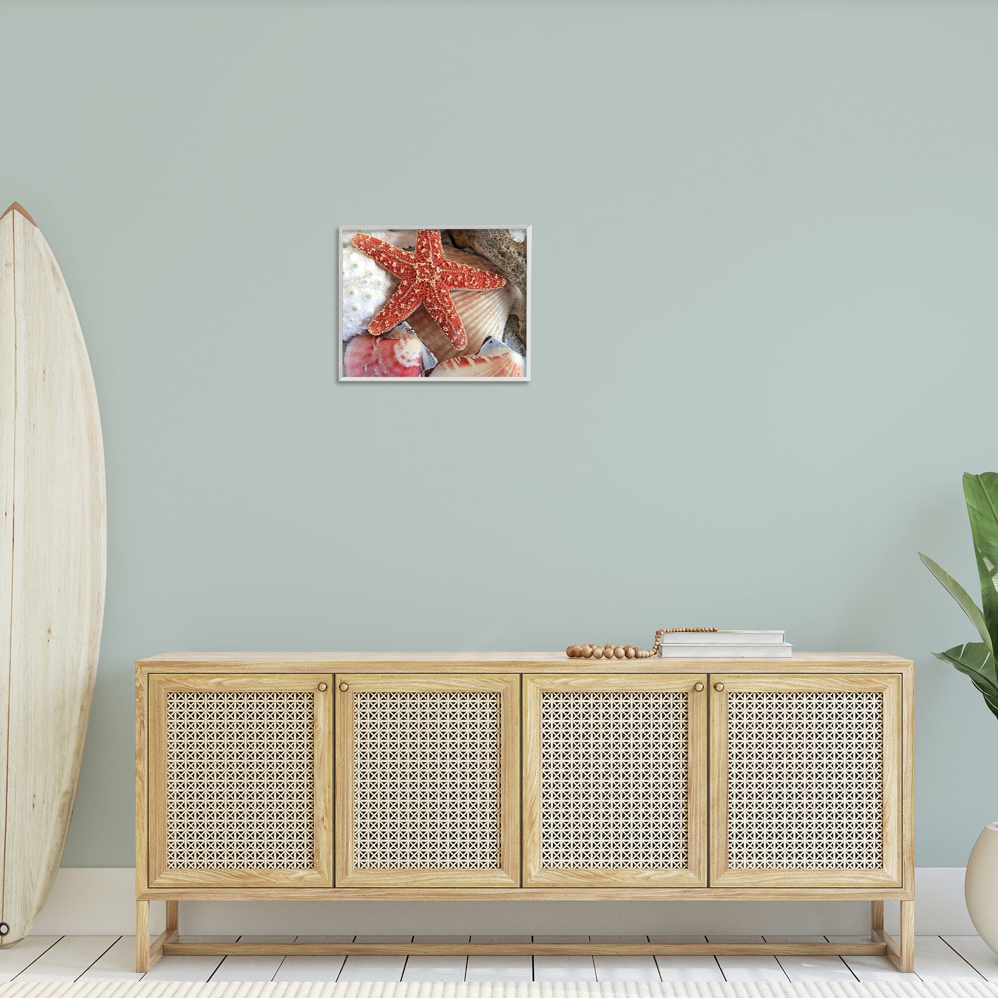Stupell Industries Various Seashells Ashore Animals & Insects Photography White Framed Art Print Wall Art, 20 x 16