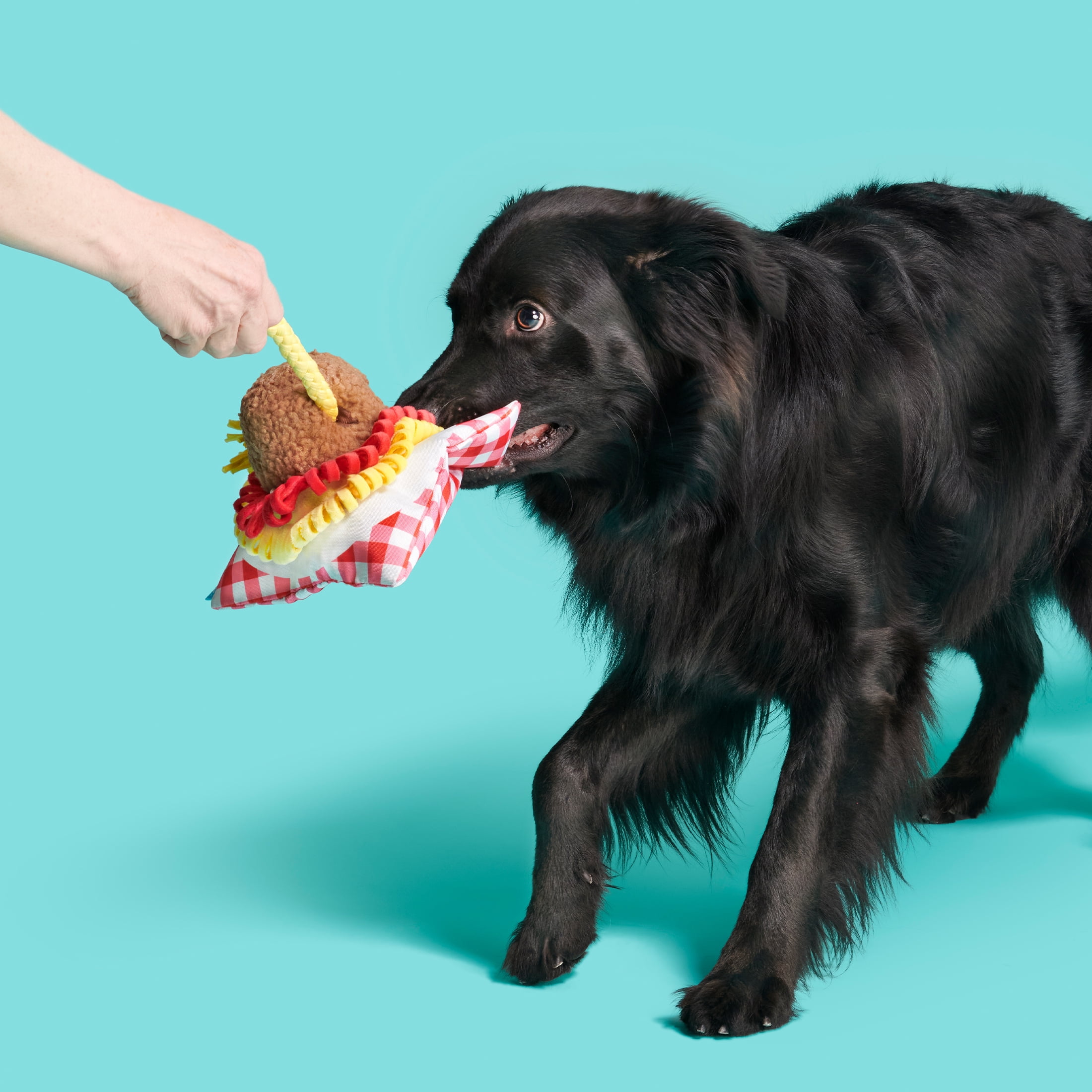 BARK Cookout Burger & Ketchup Dog Toy – Rover Store