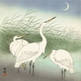 thumbnail image 2 of Koson, Ohara 26x26 White Modern Wood Framed Museum Art Print Titled - Herons in shallow water, 2 of 4