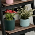 thumbnail image 6 of Fionafurn Wooden 4-Tier Ladder Shelf Foldable Bookshelf Plant Stand Display Shelf, Black + Brown, 6 of 8