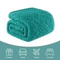 thumbnail image 6 of Whale Flotilla Fuzzy Fleece Queen Size Blanket for Bed, Soft Fluffy Jacquard Waffle Blankets for All Season, Lightweight and Warm, 90x90 Inch, Teal, 6 of 10