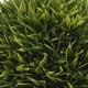 thumbnail image 4 of planta artificial decorativa con maceta negra, 4 of 5