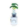 thumbnail image 1 of Puzzled Palm Tree LED Night Light, 4.5 Inch Plug In Energy Efficient Decorative Wall Lamp Manual On & Off Portable Lights Stairways Bedroom Kitchen Hallways Bathroom Tropical Beach Themed Home Decors, 1 of 1