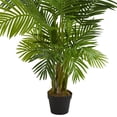 thumbnail image 3 of Nearly Natural 5589 5 ft. Hawaii Palm Artificial Tree, 3 of 3