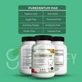 thumbnail image 2 of PureDentum Max Oral Probiotic Supplement | Healthy Gums, Fresh Breath & Plaque Support | Natural, 2 of 5