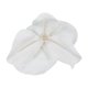 thumbnail image 5 of Uxcell 2.8" Cabezas de Orquídea de Seda Artificial Phalaenopsis para Decoración de Bodas DIY, Blanco Puro 40 Paquete, 5 of 6