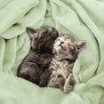 thumbnail image 4 of Utopia Bedding Fleece Blanket Queen Size Sage Green 300GSM Luxury Fuzzy Soft Anti-Static Microfiber Bed Blanket (90x90 Inch), 4 of 9