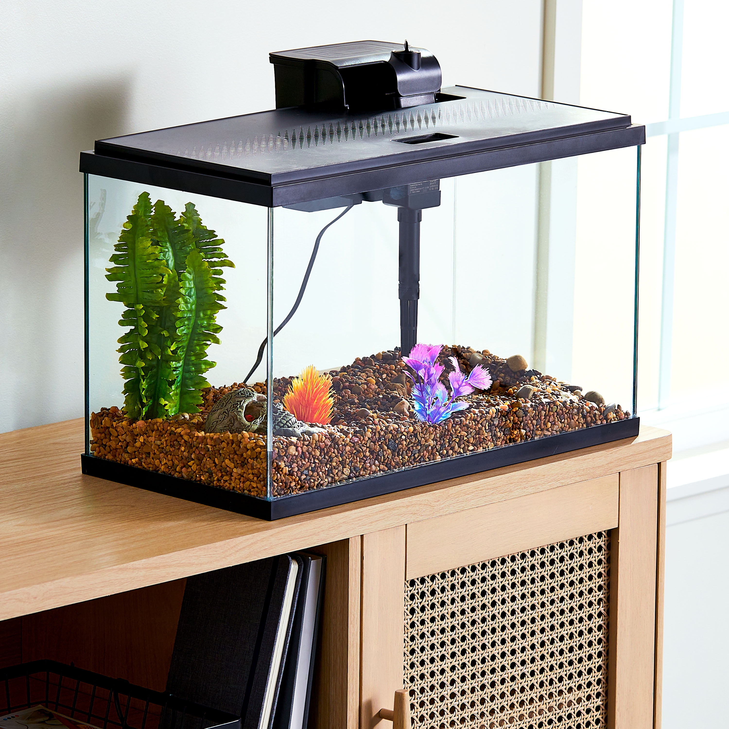 10 gallon tank kit 2025