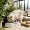 thumbnail image 2 of Pet Bowls Dog Bowls Cat Bowls Stainless Steel Double Bowl 10 Degree Tilted Neck Protection Non Tip Food and Water Integrated Feeder for Kittens Cats Dogs Indoor by PALIFEUR, 2 of 8