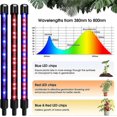 thumbnail image 2 of Spectrum Indoor Grow S, 80 Led Grow S Grow S With R, 2 of 5