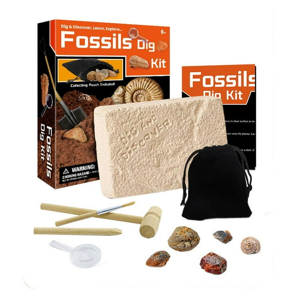 Leking Fossil Dig Kit Gemstones and Crystals Digging Kits Educational Gift for Mineralogy and
