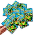 thumbnail image 2 of Set de regalos para fiestas Beach Kids Teenage Mutant Ninja Turtles, 2 of 5