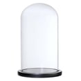 thumbnail image 1 of jifeng Clear Glass Cloche Plants and Container Dome Display Cover with Base Black F, 1 of 5