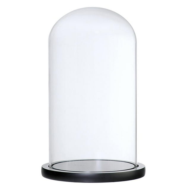 GROWTH TANK Clear Glass Cloche Plants and Container Dome Display Cover with Base Black F