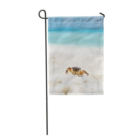 POGLIP Coastal Crab on White Sand Beach Sky Shellfish Summer Garden Flag Decorative Flag House Banner 12x18 inch