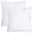 C, variant on Pillow 1 Core Material 2-Piece Non-Woven Polyester Cushion Cover for Living Room and Bedroom 2PCS