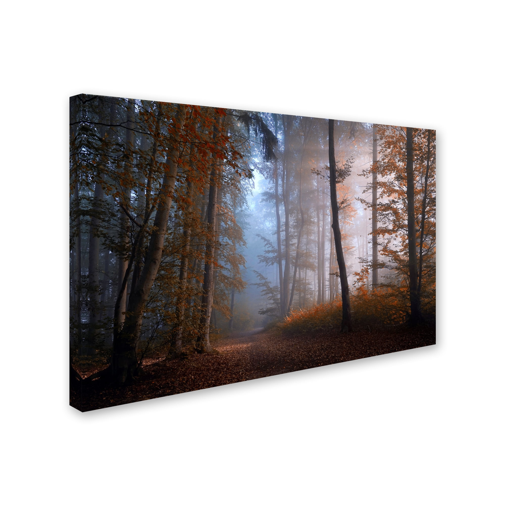 Norbert Maier 'Autumn Colors' Canvas Art