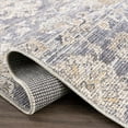 thumbnail image 6 of BoutiqueRugs Metin Traditional Area Rug - Natural Gray - 2'2" x 3'9", 6 of 14