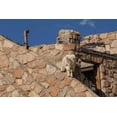 thumbnail image 2 of Illg, Cathy and Gordon 24x17 Black Ornate Wood Framed with Double Matting Museum Art Print Titled - CO, Mt Evans Mountain goat climbs a building, 2 of 4