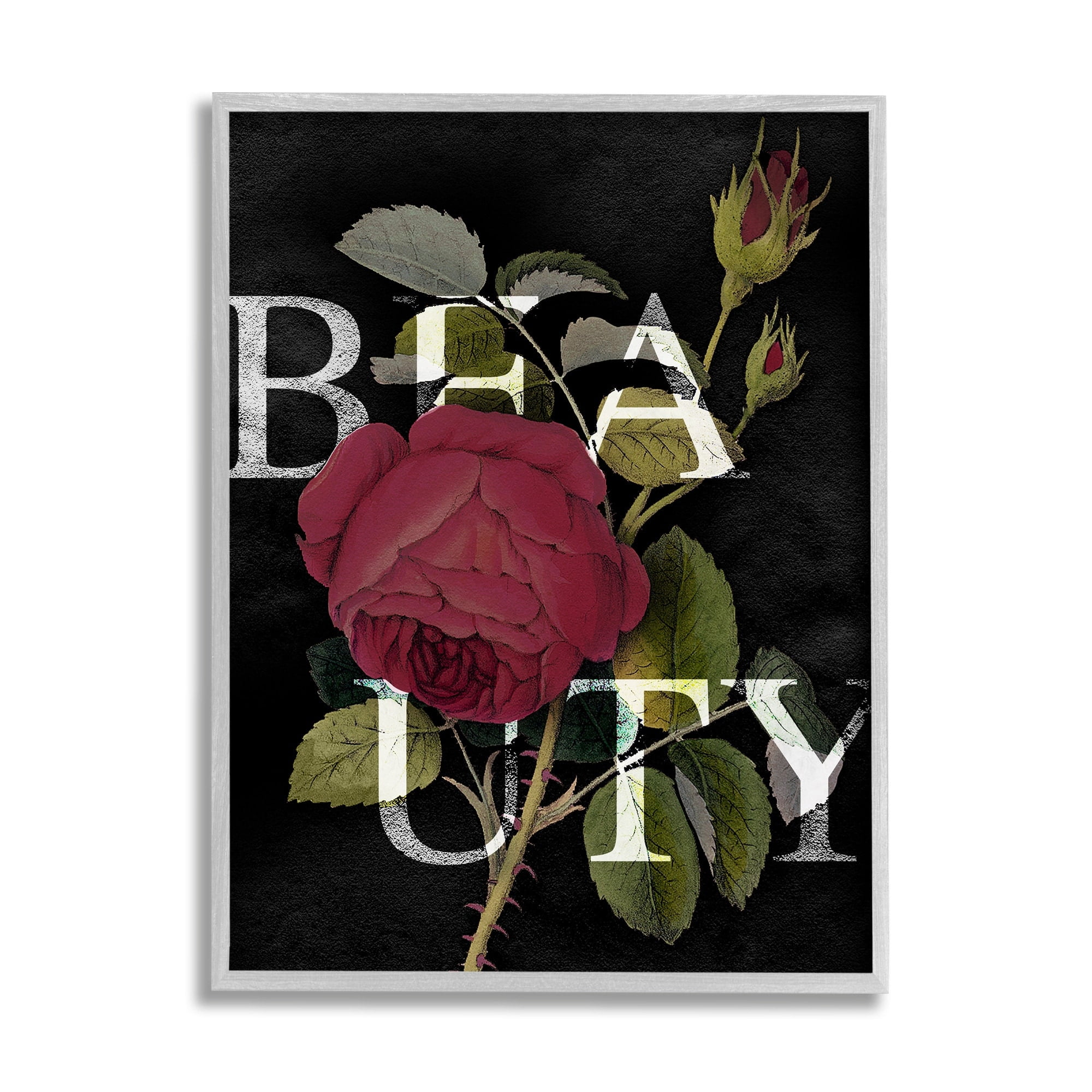 Stupell Industries Beauty Text over Vintage Red Thorned Rose Grey Framed, 11 x 14, Design by Daphne Polselli