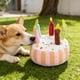 thumbnail image 5 of Este juguete de peluche con forma de pastel de cumpleaños que chirría para perros es perfecto como regalo de cumpleaños para tu perro., 5 of 6