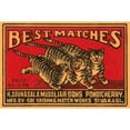 thumbnail image 3 of Phillumenart 24x17 Black Modern Framed Museum Art Print Titled - Three Tiger - Best Matches, 3 of 5