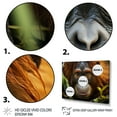 thumbnail image 3 of Designart "Captivating Orangutan Portrait in Photograph" Animals Floater Framed Wall Art Print, 3 of 7