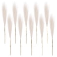 thumbnail image 2 of Sunjoy Tech 10Pcs Faux Pampas Grass Decor Flower Arrangement Art Vase Filler Artificial Pompous Grass Wedding Party Scene Arrangement Boho Style Home Decoration, 2 of 8