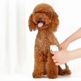 thumbnail image 2 of Rechargeable Pet Electric Hair Shaver compatible Dog Grooming Clippers with Lubrication_Perfect Gift, 2 of 5