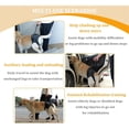 thumbnail image 5 of UOSIA Dog Halter Harnesses, Adjustable Lift Hanress Soft Padded Dog Support Harness, 5 of 7