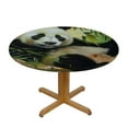 thumbnail image 3 of Acheng Panda Bear Bamboo Branches Round Tablecloth with Elastic Edge 100% Polyester Fiber 46-50, 3 of 8
