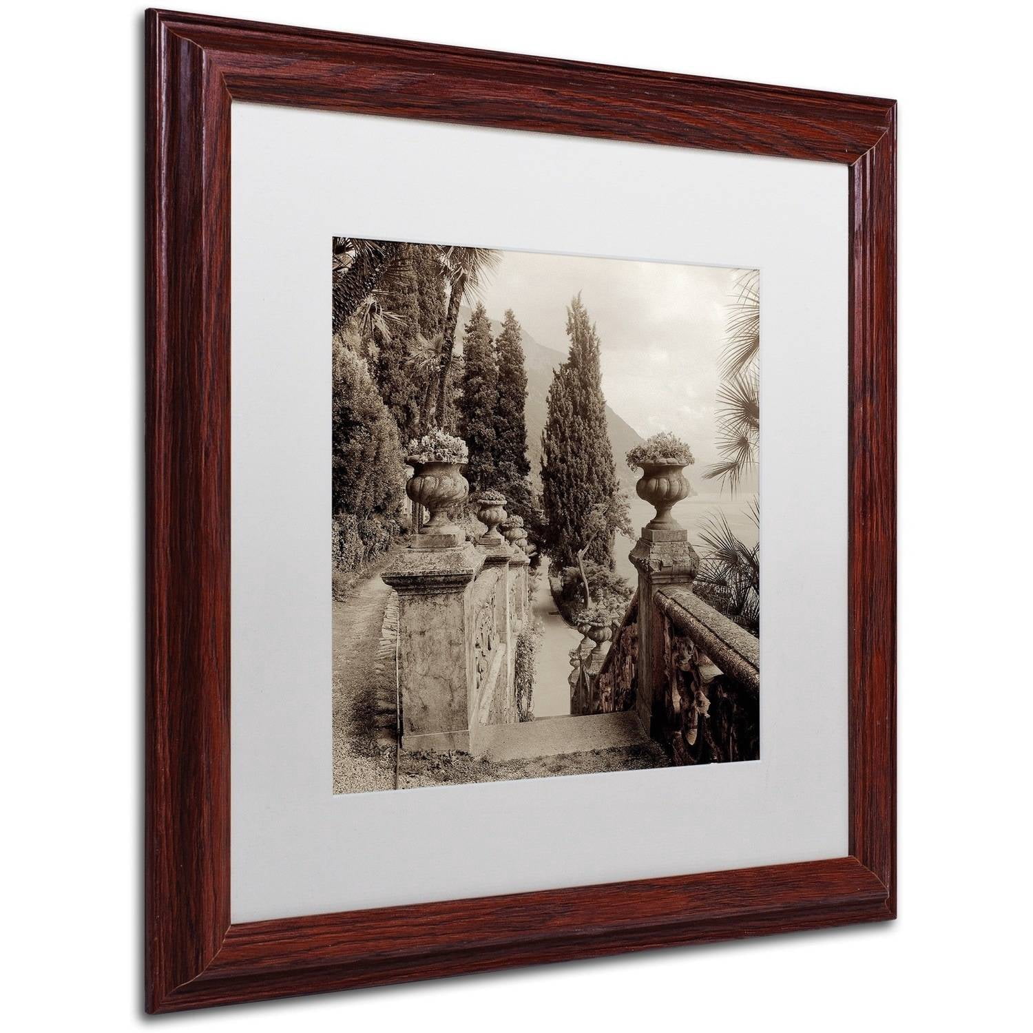 Trademark Fine Art "Lombardy VIII" Canvas Art by Alan Blaustein, White Matte, Wood Frame