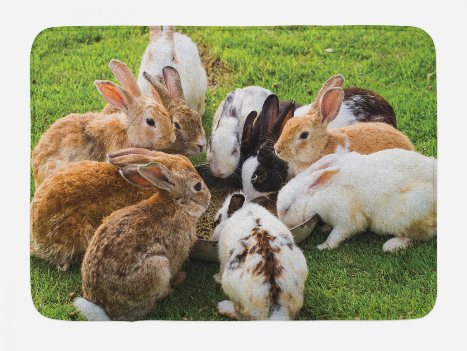 Bunny Bath Mat, Real Life Image of a Group of Rabbits Eating Food in the  Garden Feeding Animalistic, Plush Bathroom Decor Mat with Non Slip Backing,  29.5" X 17.5", Multicolor, by Ambesonne -