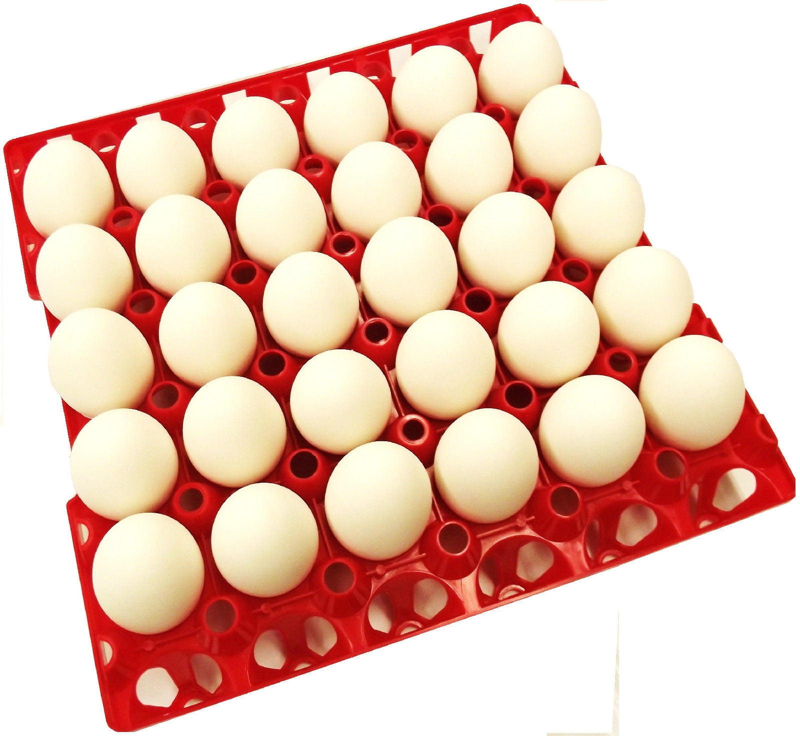 6 Packs Egg Trays for Incubator Storage Holds 30 Poultry Egg