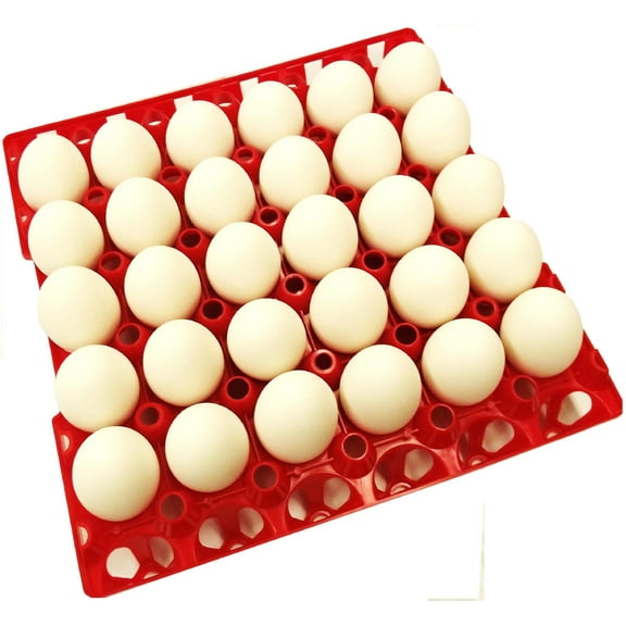 12 RITE FARM PRODUCTS 30 EGG POLY CHICKEN TRAYS SHIPPING CARTON POULTRY FLAT