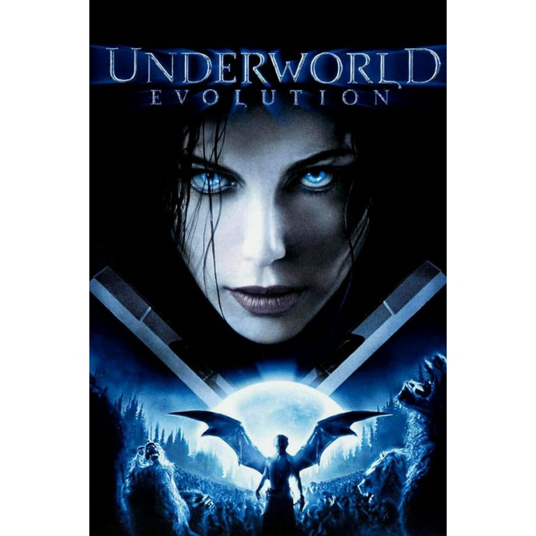 Guide from the Underworld 5枚セット Amazon.com: Yu-Gi-Oh! - Tour Guide from The Underworld (EXVC