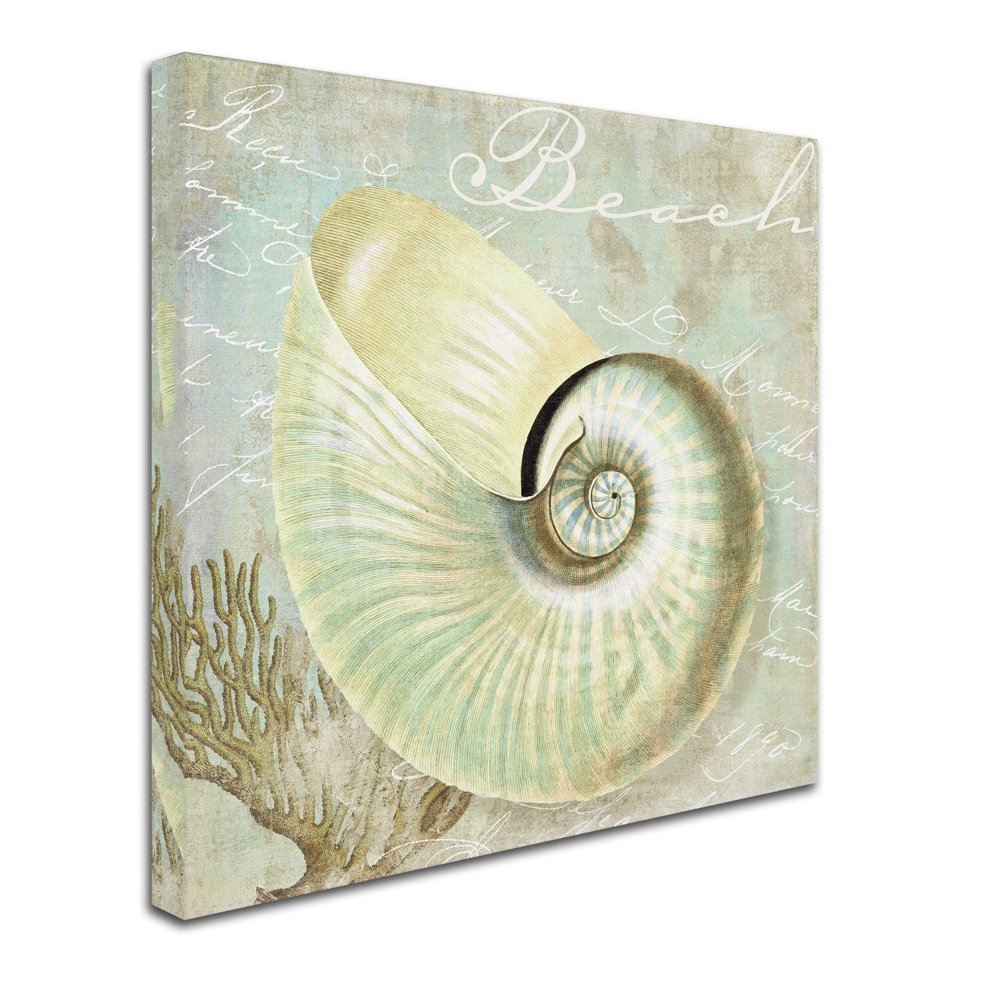Trademark Fine Art "Turquoise Beach IV" Canvas Art by Color Bakery