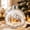House, variant on Light Up Christmas Clear Plastic Fillable Ornaments Balls, Winter Scene Filled Ball Ornament with LED,Shatterproof Clear Xmas Tree Hanging Pendants Festival Decorations, Holiday Decor Lovers